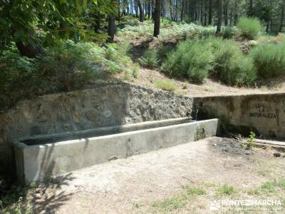 Pinares de Piedralaves;nacimiento del jucar rutas y senderismo ruta de senderismo